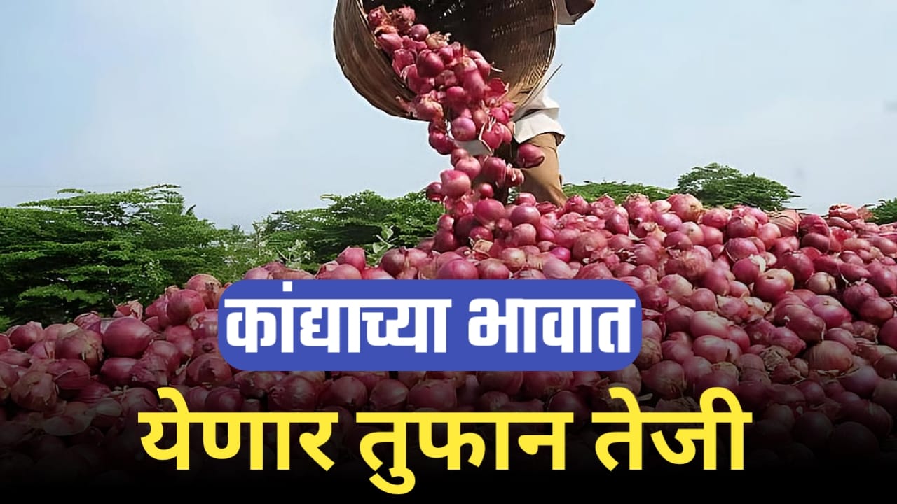 कांदा बाजारातून दोन